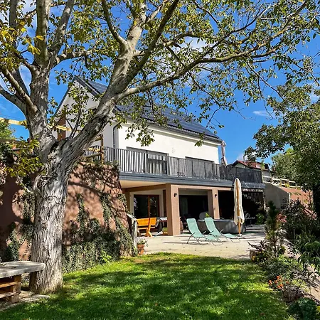 Vinita Villa Sveti Jurij ob Scavnici